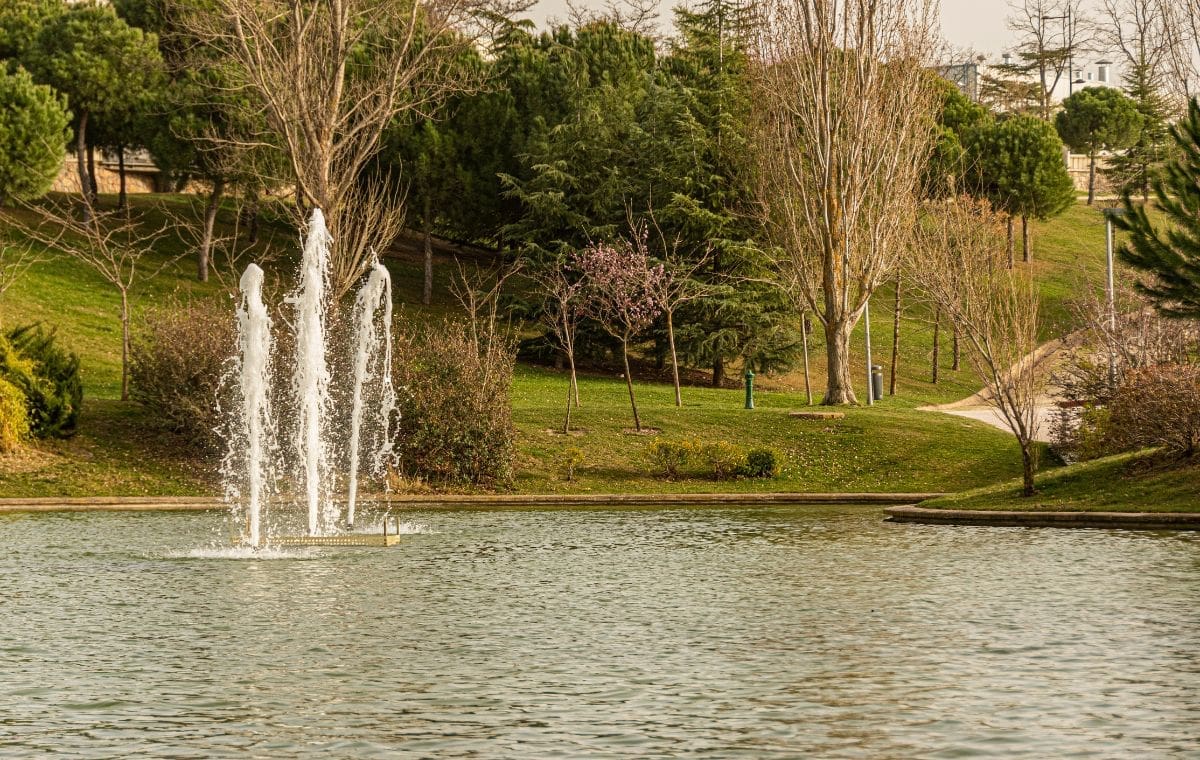 parque central tres cantos